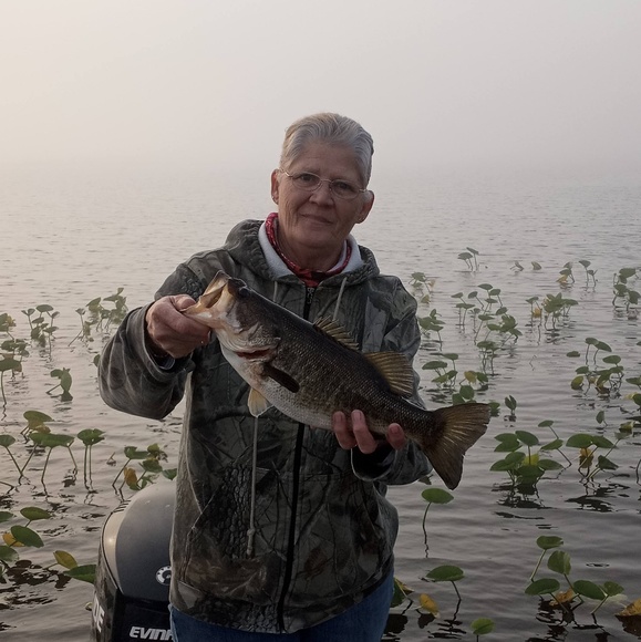 Meet your Posher, Kitty - Picture 1 of 1